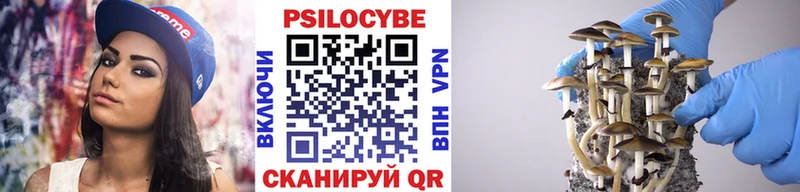 Псилоцибиновые грибы мицелий Завитинск